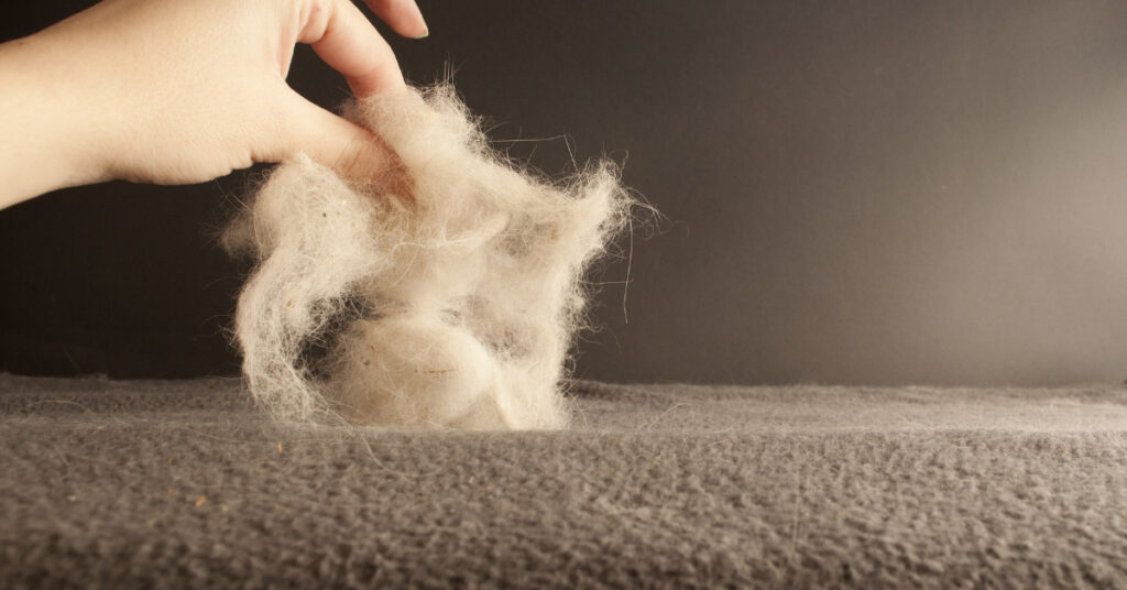 View of Vacuum Cleaner Attachments Perfect for Pet Hair Cleaning | Sirena Inc.