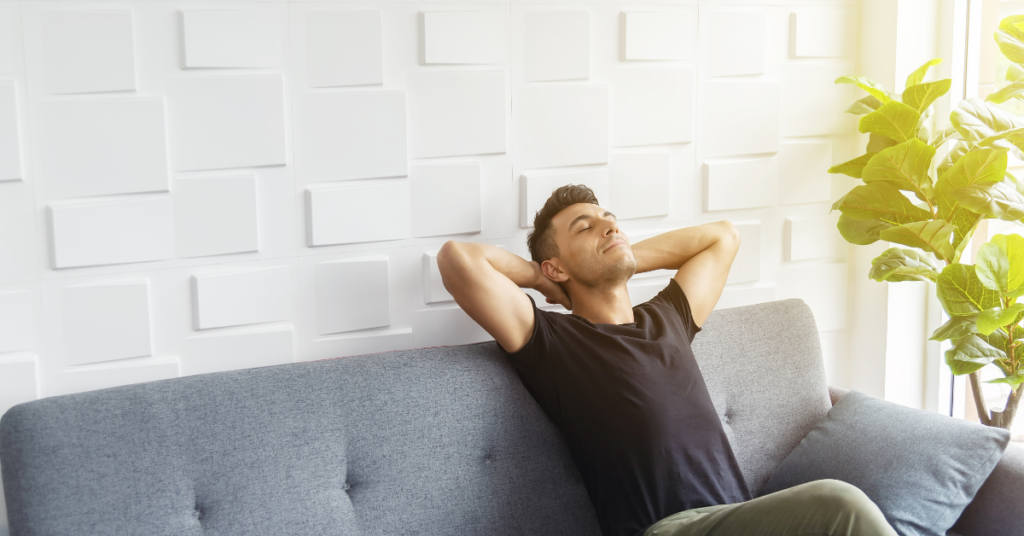 How Can the Vacuum Cleaner Deodorizer Help? Sirena Inc.