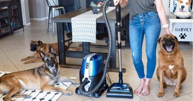 water vacuum cleaner vs dry
