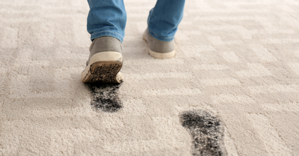How to Clean a Wet Mess Muddy Footprints, Spilled Drinks, and More