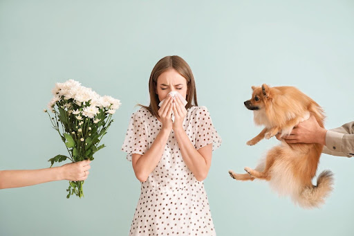 Why A Water Vacuum Is Better For Allergies